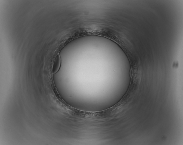 X0000114131345200910151535