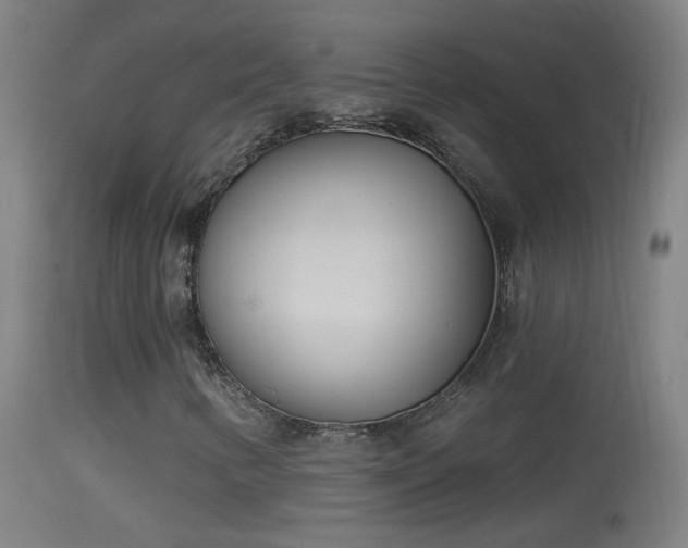 X0000114131346200910151535