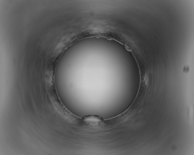 X0000114131348200910151535