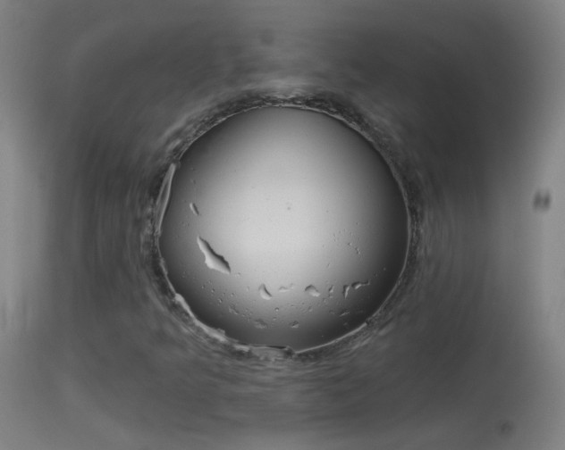 X0000114131349200910151535