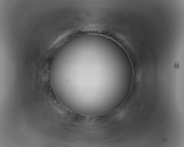 X0000114131350200910151535