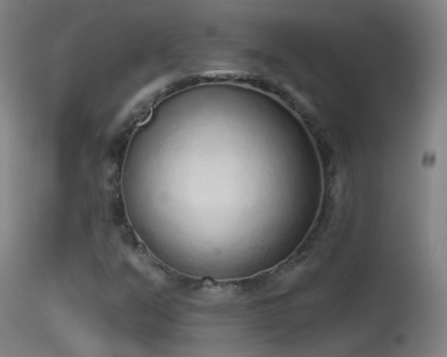 X0000114131351200910151535