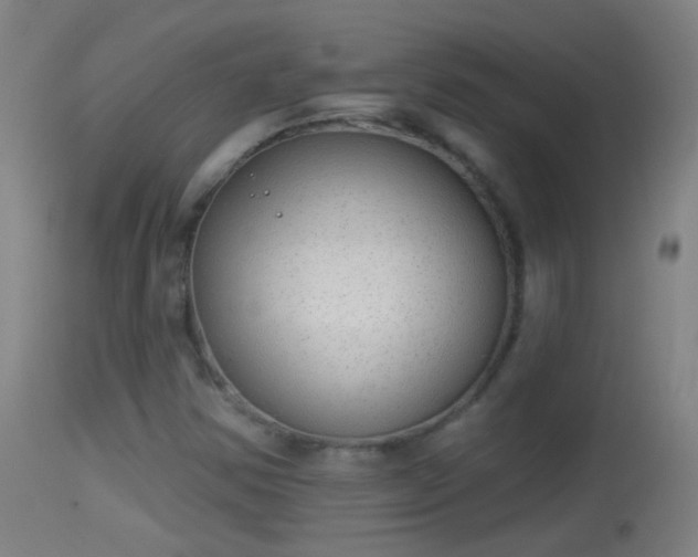 X0000114131354200910151535