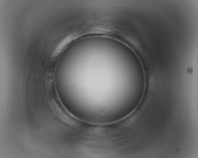 X0000114131355200910151535