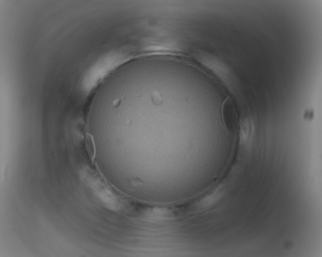 X0000114131357200910151535