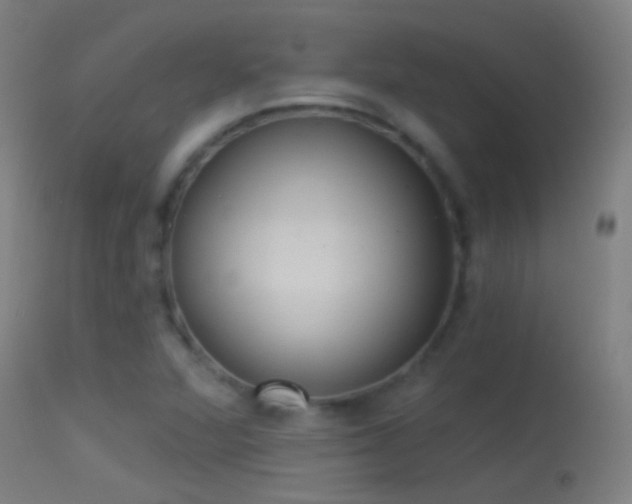 X0000114131360200910151535