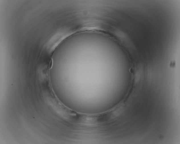 X0000114131361200910151534