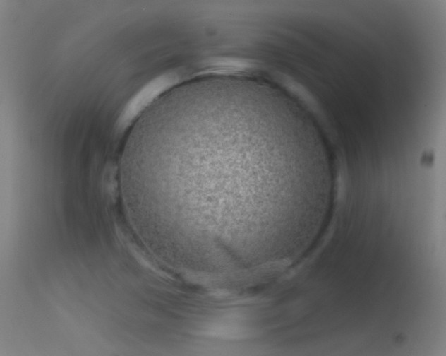 X0000114131362200910151534