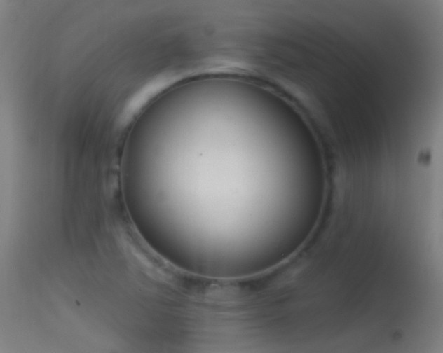 X0000114131363200910151534