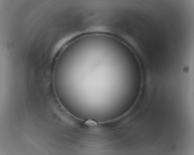 X0000114131364200910151534