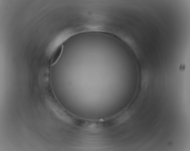 X0000114131365200910151534