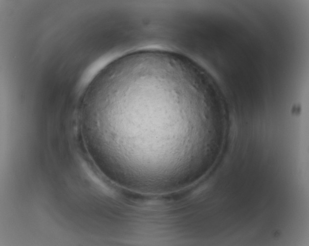 X0000114131367200910151534