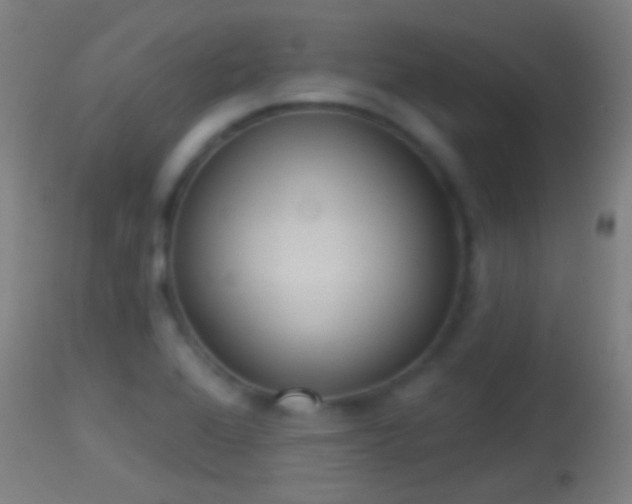 X0000114131368200910151534