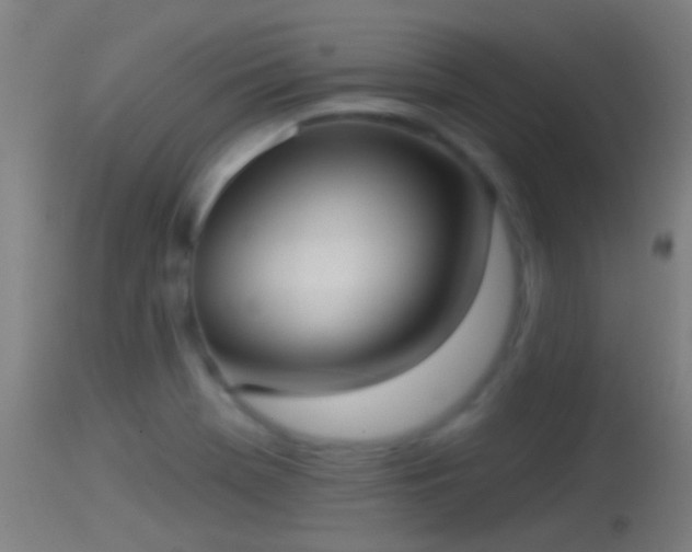 X0000114131369200910151534