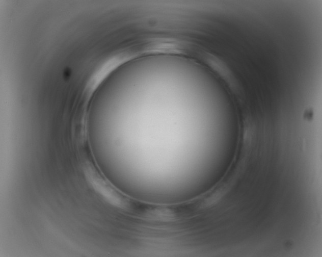 X0000114131370200910151534