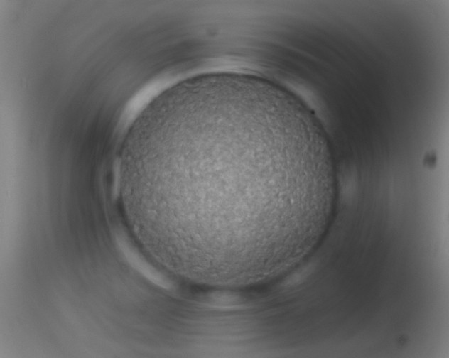 X0000114131371200910151534