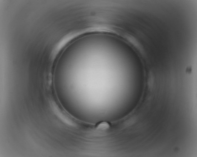 X0000114131372200910151534