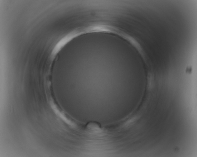 X0000114131373200910151534