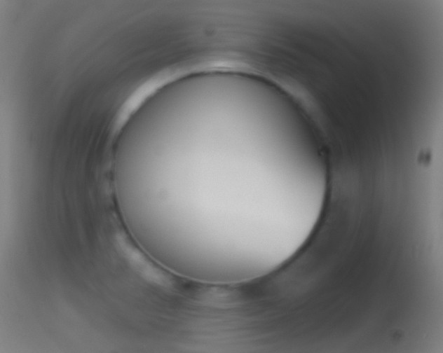 X0000114131374200910151534