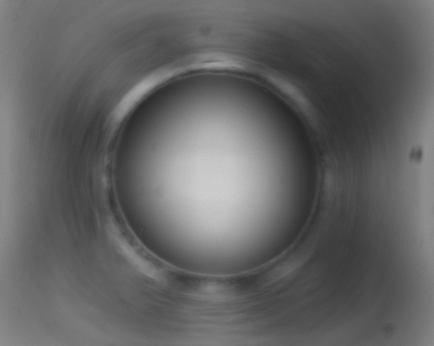 X0000114131375200910151534