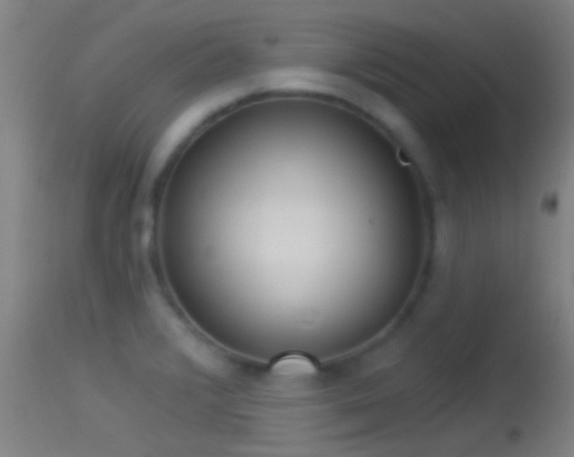 X0000114131376200910151534