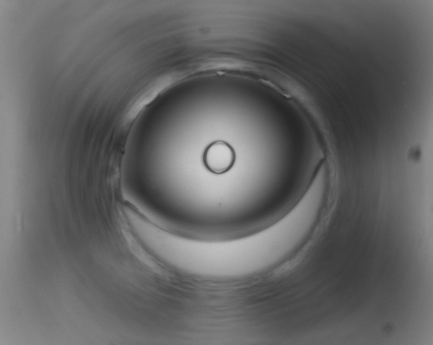 X0000114131377200910151534