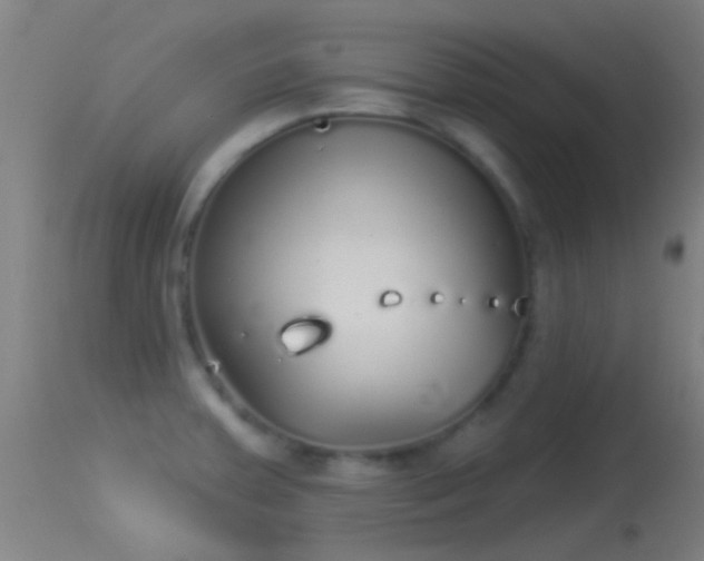 X0000114131379200910151534