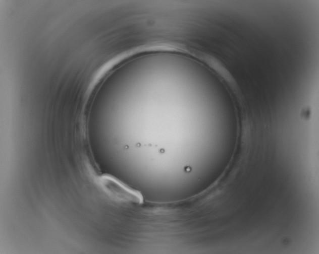 X0000114131380200910151534