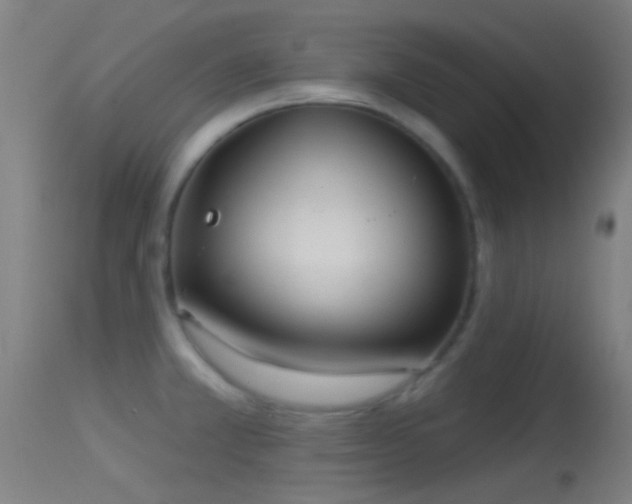 X0000114131381200910151534