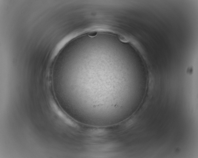 X0000114131382200910151534