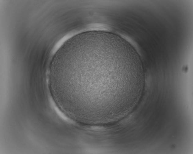 X0000114131383200910151534