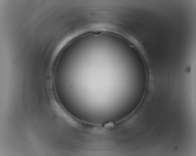 X0000114131384200910151534