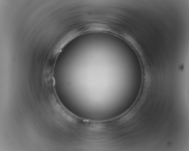 X0000114131385200910151534