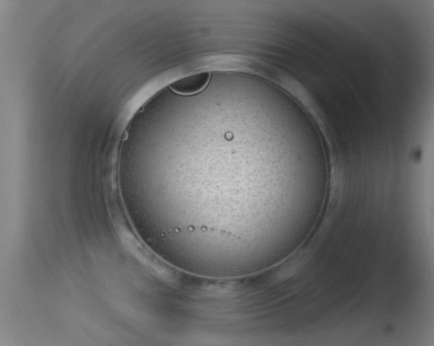 X0000114131386200910151534