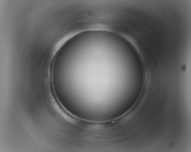 X0000114131387200910151534