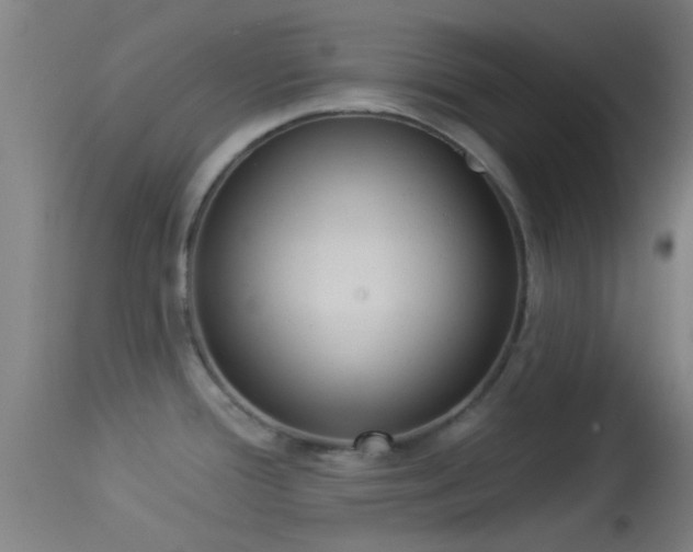 X0000114131388200910151534