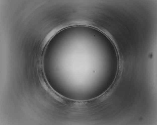 X0000114131389200910151534