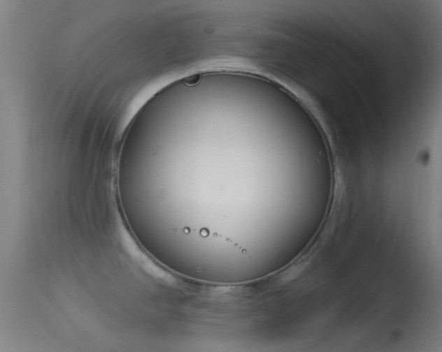 X0000114131390200910151534