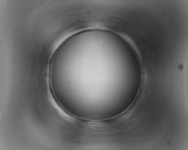 X0000114131391200910151534