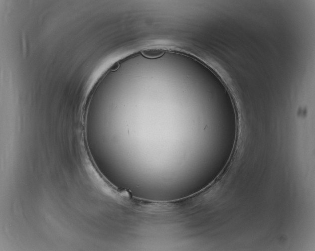 X0000114131392200910151534