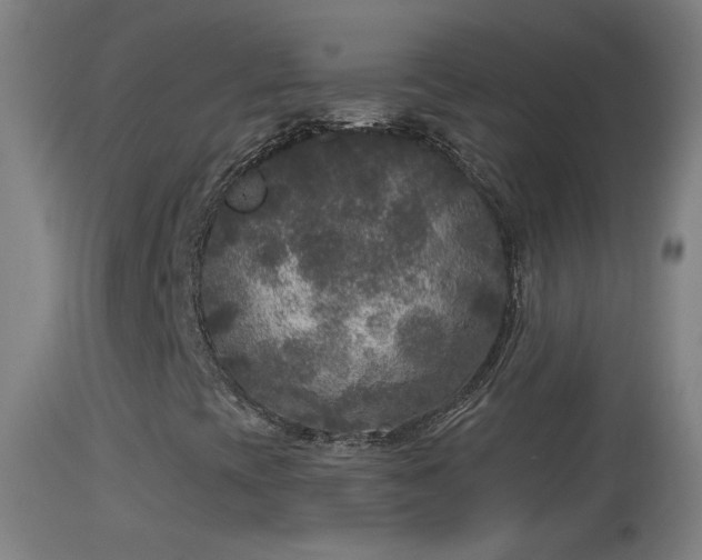 X0000114131393200910151533