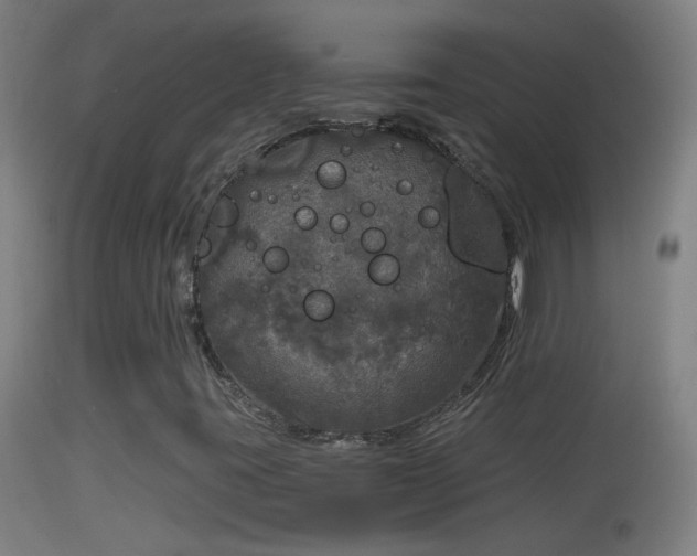 X0000114131395200910151533