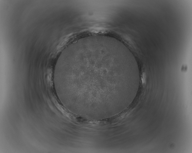 X0000114131396200910151533