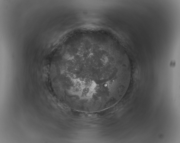 X0000114131397200910151533