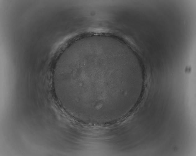 X0000114131398200910151533