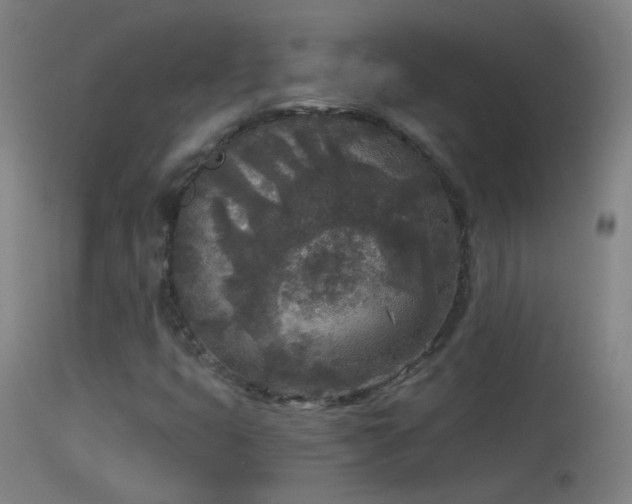 X0000114131399200910151533