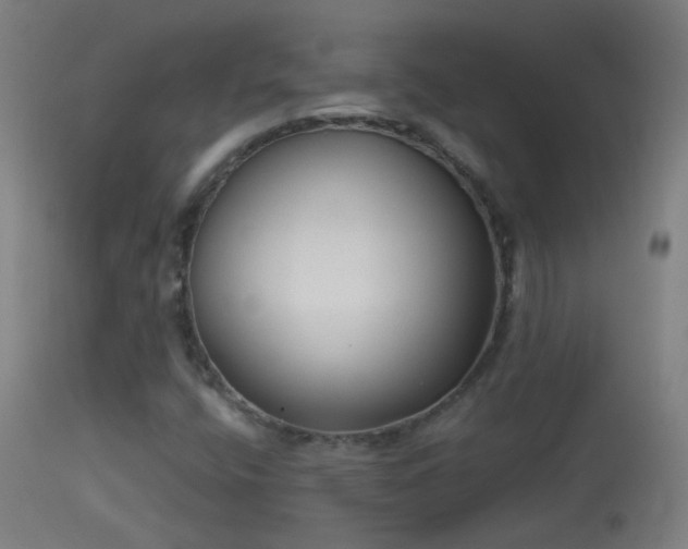 X0000114131400200910151534