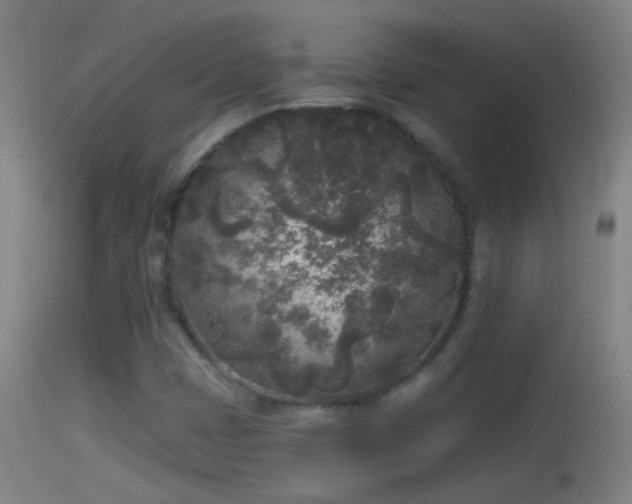 X0000114131401200910151534