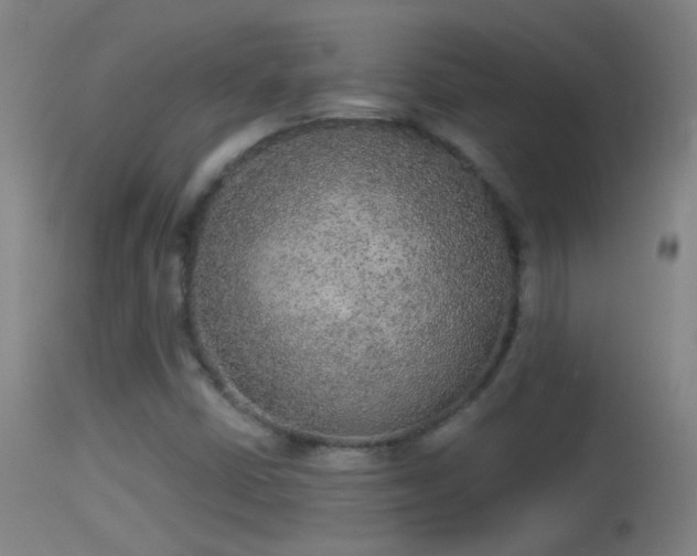 X0000114131402200910151534