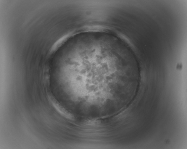 X0000114131403200910151534